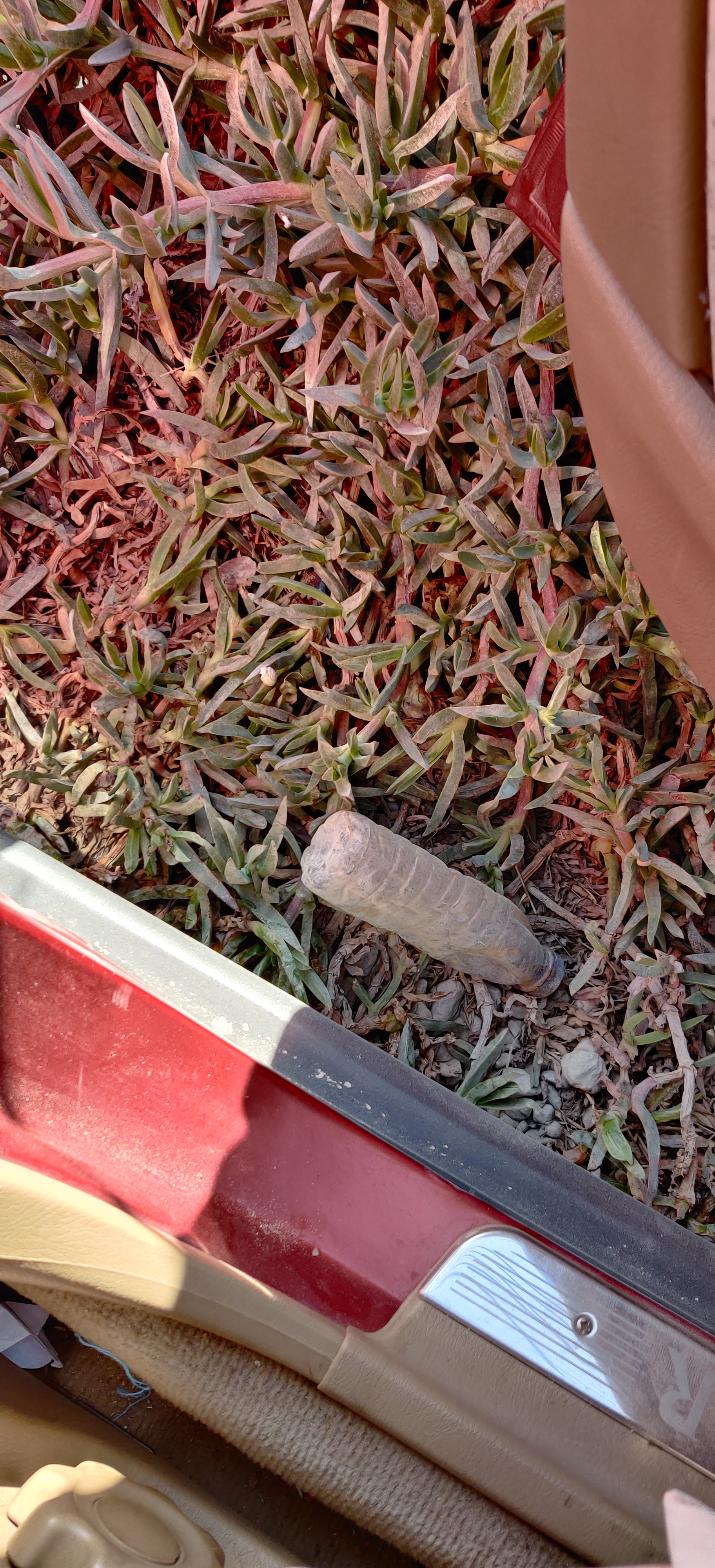 TACO annotated sample image 3: Aerosol, Aluminium blister pack, Aluminium foil, Battery