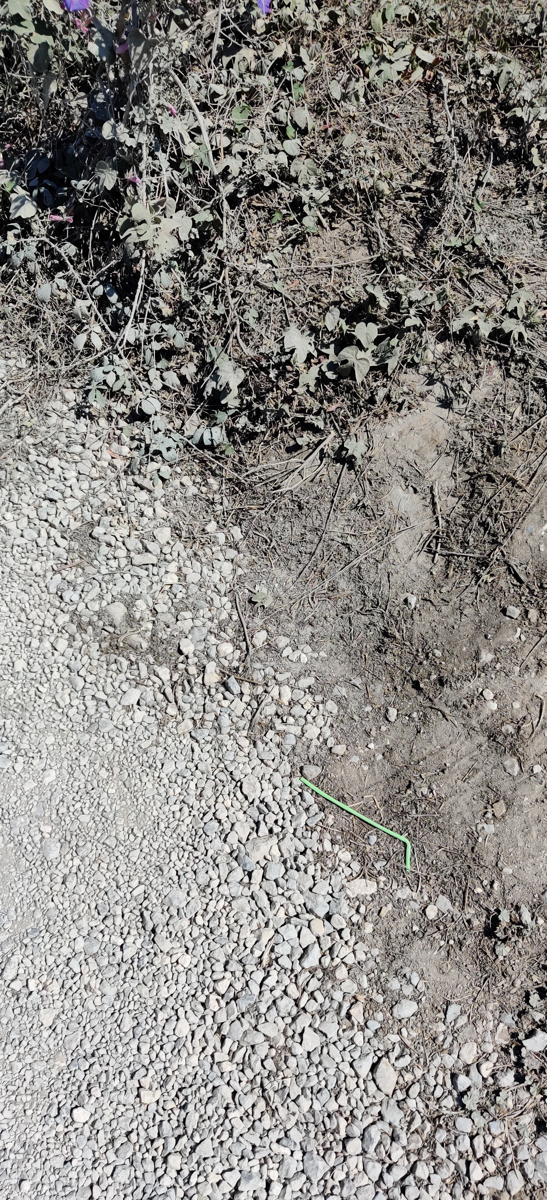 TACO annotated sample image 4: Aerosol, Aluminium blister pack, Aluminium foil, Battery
